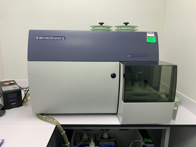 Becton Dickison FACSCanto II flow cytometer